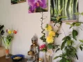 Photo 1 from listing “Thai Energie Massage Maressa”, age 38