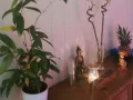 Photo 3 from listing “Thai Energie Massage Maressa”, age 38