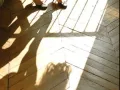 Photo 5 from listing “Anais75-bi”, age 34