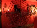 Photo 5 from listing “Lady Svenja”, age 29