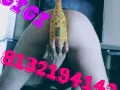 Photo 2 from listing “Gigi/star – American escort in Florida”, age 43
