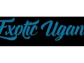 Photo 1 from listing “Exotic Uganda – escort agency in Kampala”