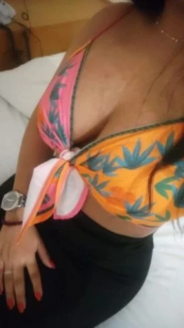 Jaque Dinis — 4 / 6