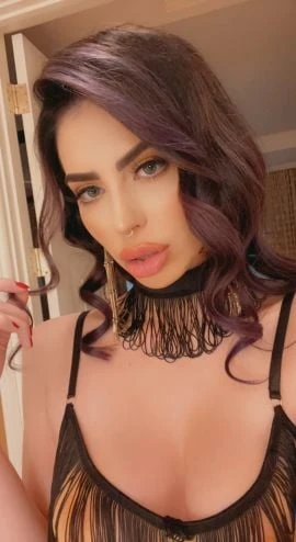 Miami, Escort, Amsterdam