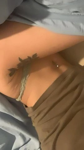 katt, Escort, Miami