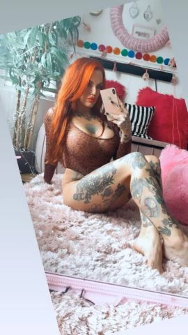 Scottish Maddison — 4 / 6