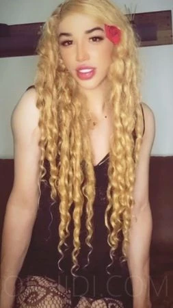 TS Gia, Escort, Dusseldorf