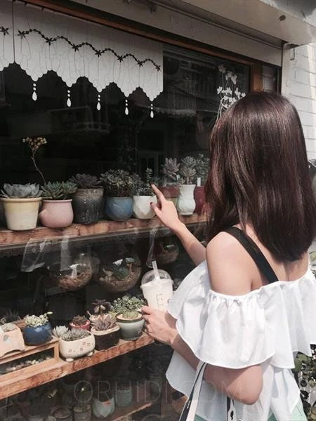 YOLANDA — 2 / 3