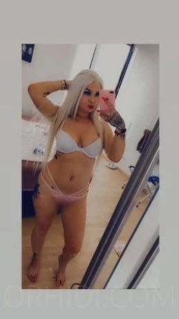 Jungdomina 27J.ComtesseLady Lola — 12 / 25