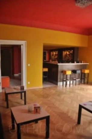 Petite Fleur - Erotik Club — 8 / 9