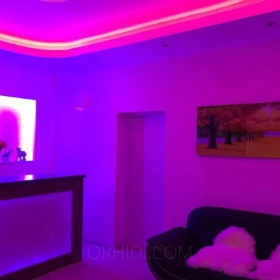 1556, Escort, Vienna