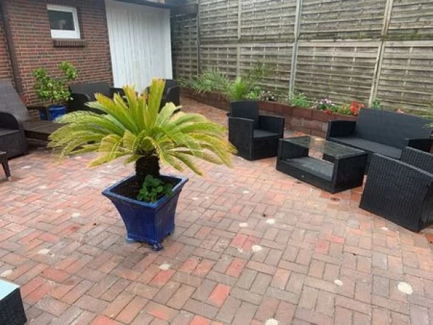 Club Palma — 13 / 17