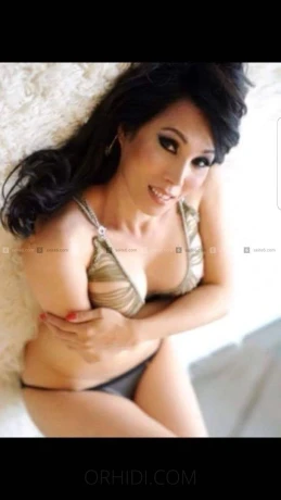 Trans Lisa — 3 / 5