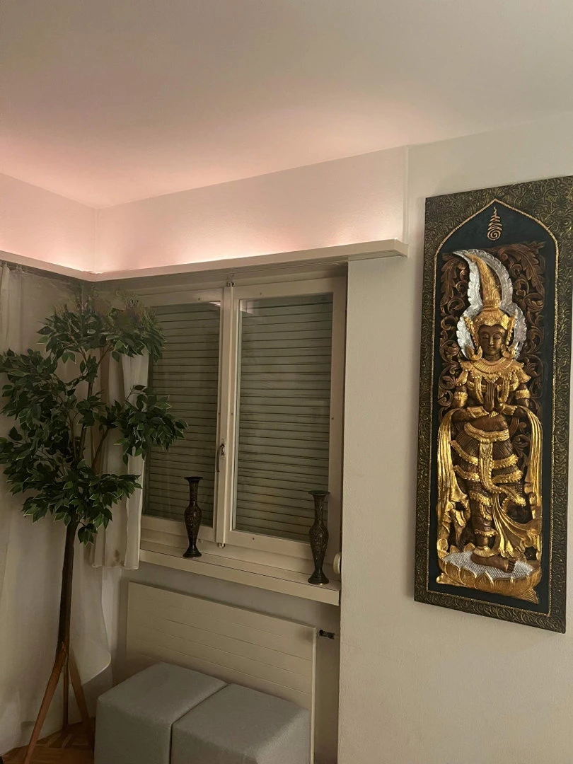 Apartment In Zuerich City, Escort, Zurich