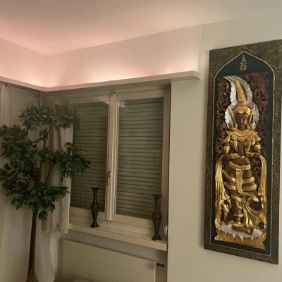 Apartment In Zuerich City, Escort, Zurich