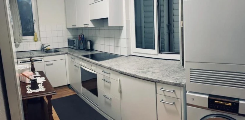 Privat Diskretes Apartment In Zuerich Oerlikon — 1 / 3