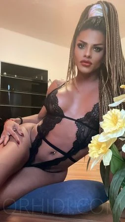 TS Vanessa, Escort, Offenbach