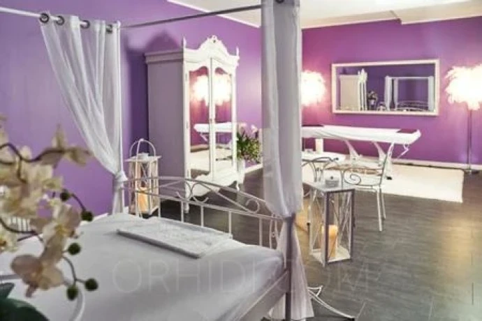 Studio Dornenschloss-das Allround- Service-Studio — 10 / 15