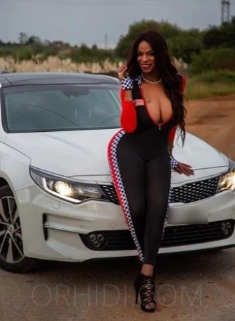 Trans Alaska — 3 / 7