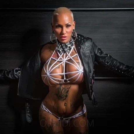 P*rnostar KITTY CORE — 6 / 24