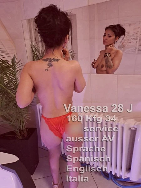 Nachtfalter Vanessa 28 J. — 9 / 11