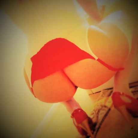 Sensually-Sandy — 13 / 16