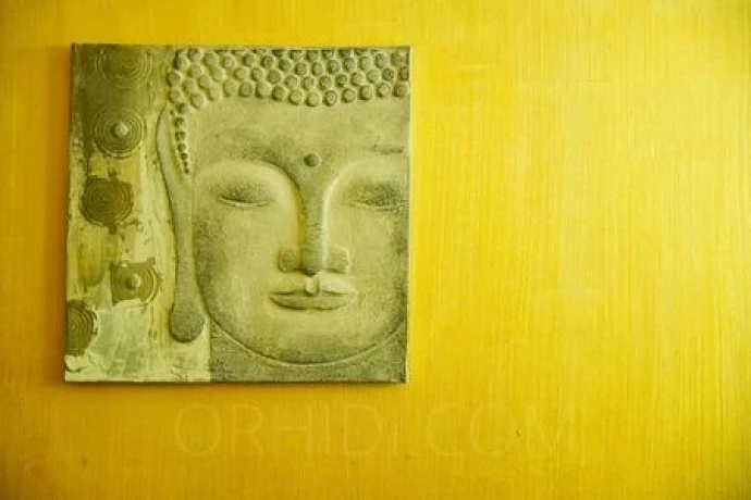 Suriya Massage — 6 / 15