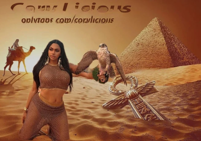 Fantasy Ts — 8 / 12