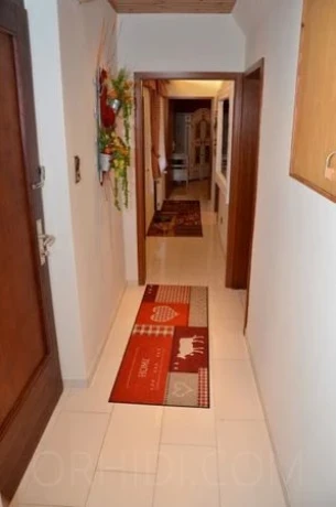 Lustengel Sigmundstr. — 7 / 14