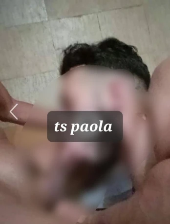 New Wil Ts Paola — 4 / 5