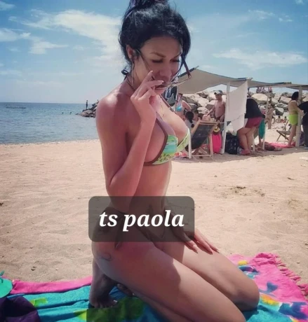 New Wil Ts Paola — 2 / 5