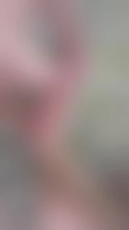 Ts Jessy Deluxe 100 Deutsch — 3 / 20