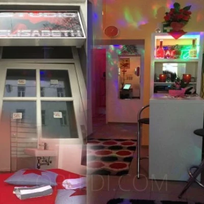 5027, Escort, Vienna