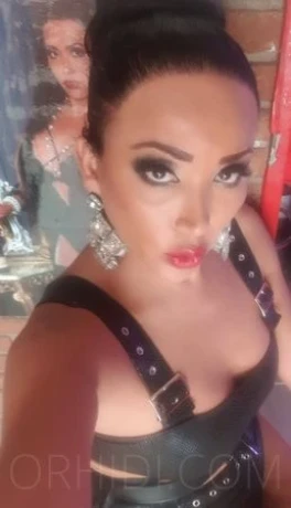 TS SILVIA AUS PERU — 5 / 19