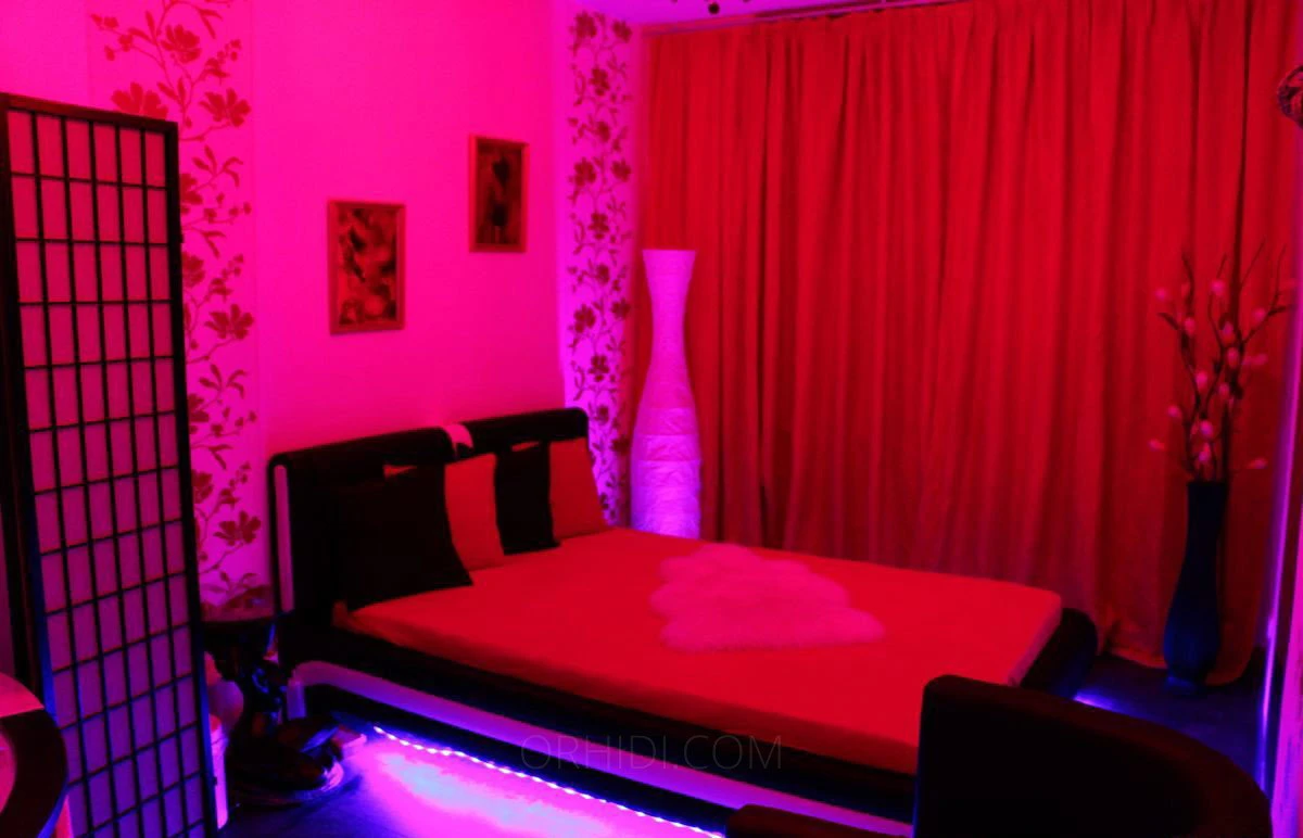 2523, Escort, Vienna