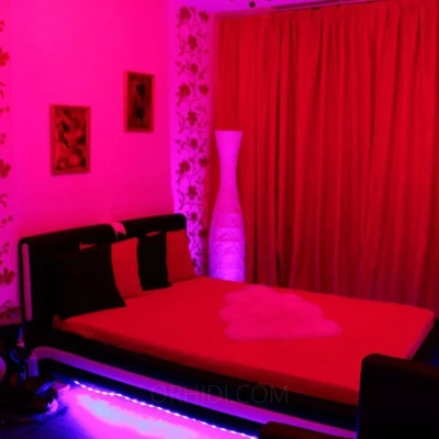 2523, Escort, Vienna