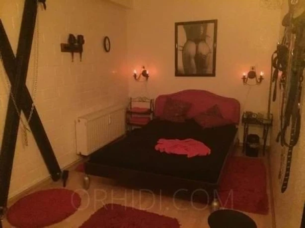 Hotcats Club — 15 / 17