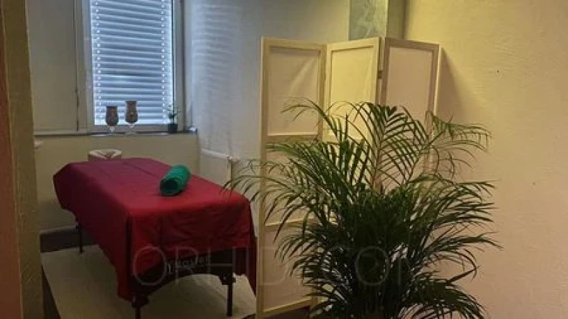 Relax Wellness Lounge — 5 / 7