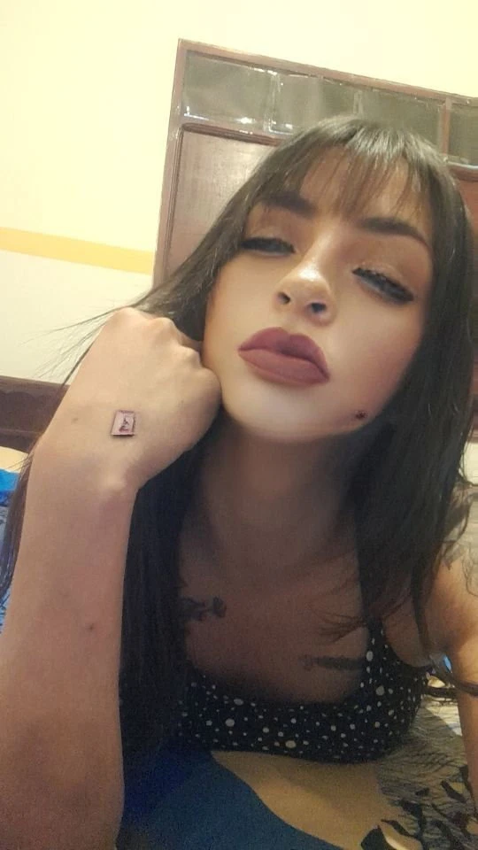 Camilita — 4 / 12