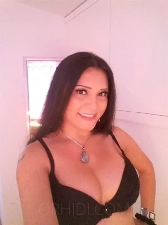 Top Trans Zara XXL — 1 / 4