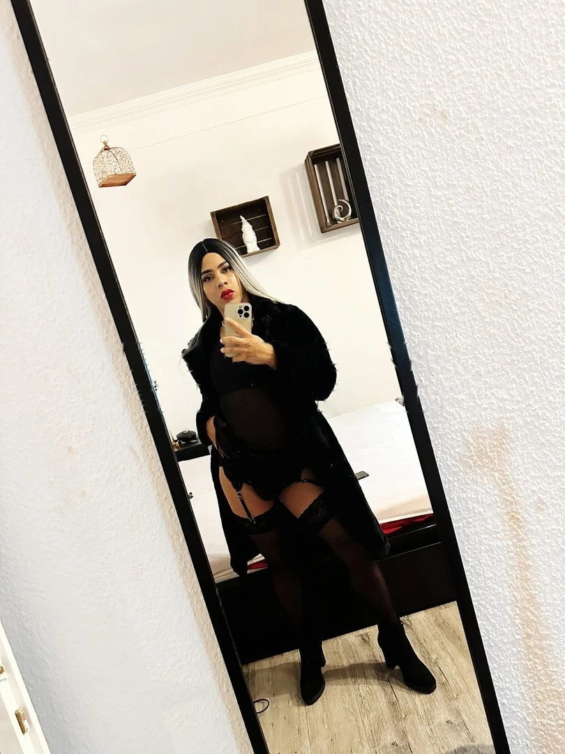 Trans Dani, Escort, Oberhausen