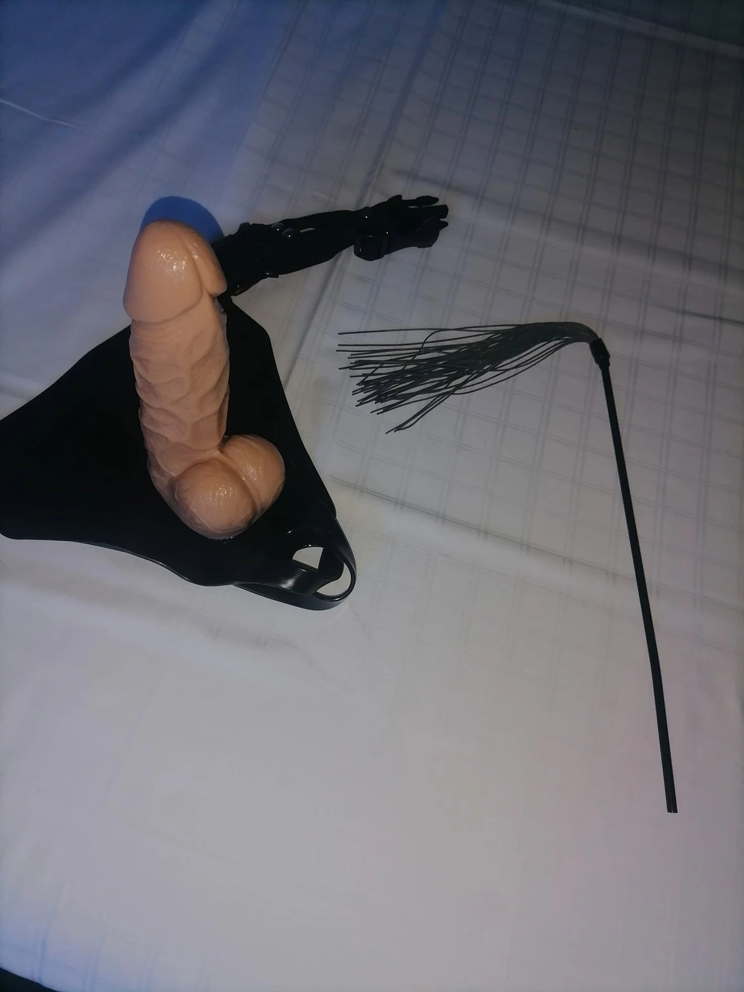 Vanessa 0, Escort, Freiburg