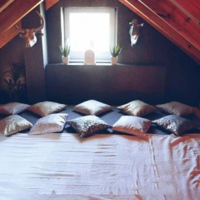 Nette Mädels gesucht, Escort, Dresden