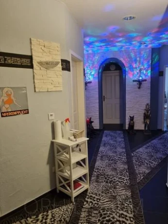 Studio Allgäu M10 — 9 / 14