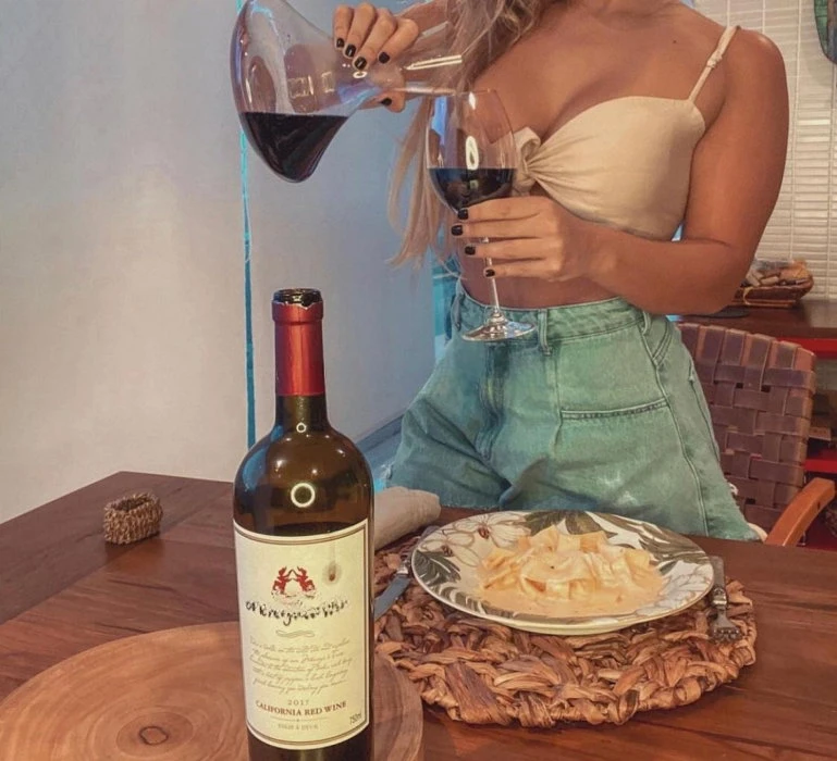 Flavia, Escort, Porto