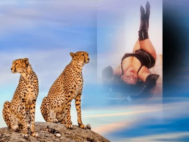 Lady Isabell — 9 / 10