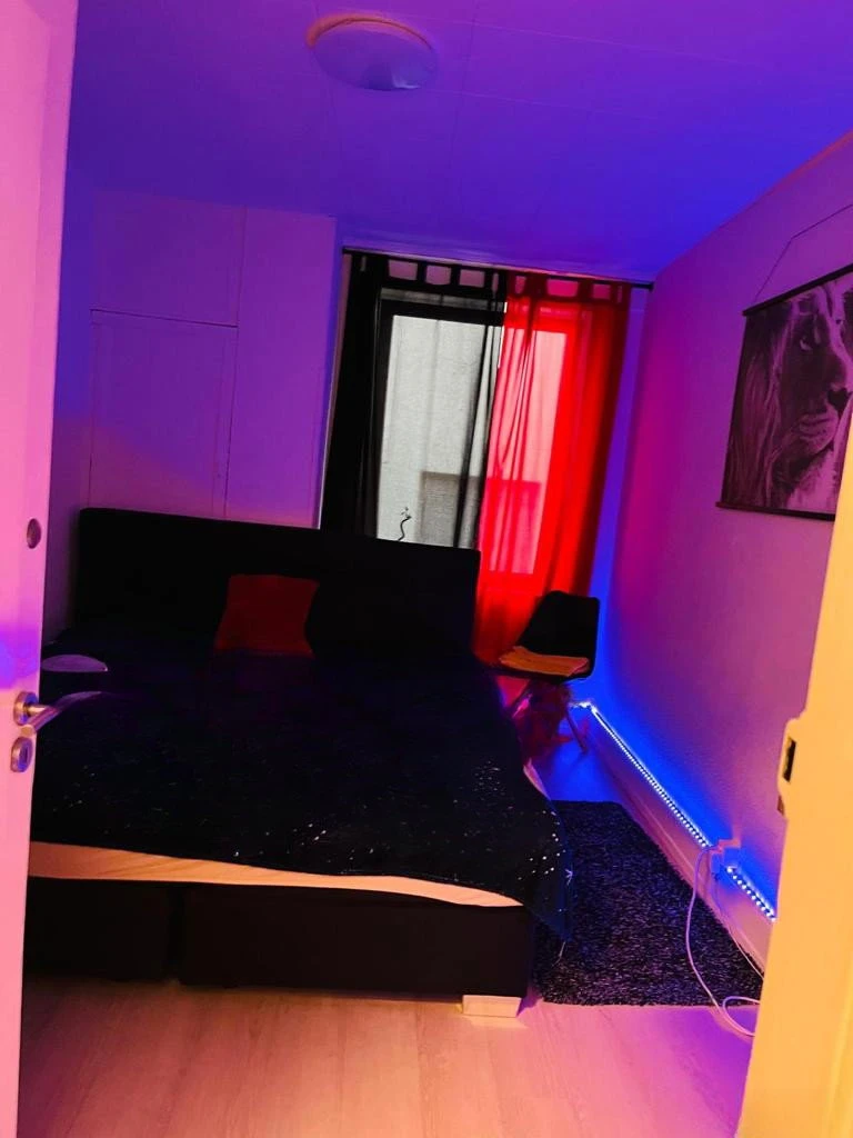 Neu In Basel Bewilligte Zimmer Zum Vermitten, Escort, Basel