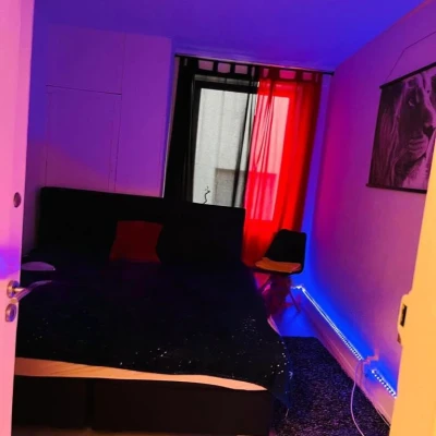 Neu In Basel Bewilligte Zimmer Zum Vermitten, Escort, Basel