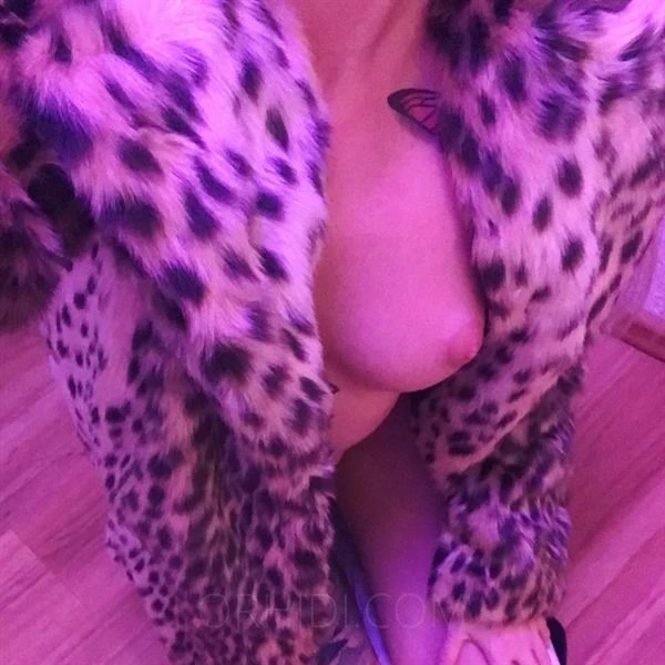 Lust auf mich? :-) Echte Bilder, Escort, Erfurt