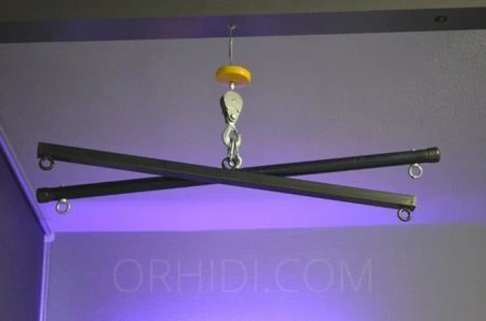 Comtesse Greta — 15 / 17